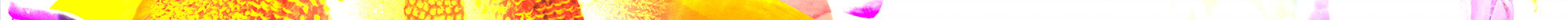 00-bg-1